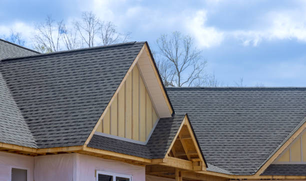 Best Asphalt Shingle Roofing  in Rincon, GA